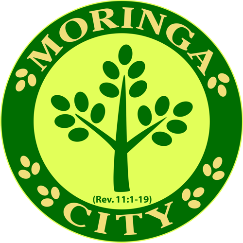Moringa city logo rev11v1-19 500